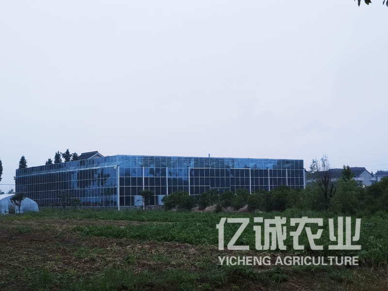 连栋玻璃温室大棚建设